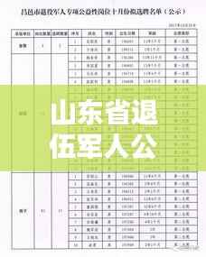 山东省退伍军人公益岗位最新动态，荣耀再现，拓宽退役军人职业道路