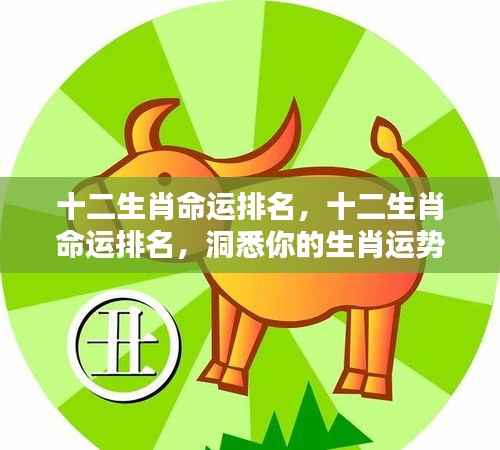 十二生肖命运排名详解,洞悉你的生肖运势走向