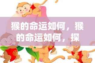 探寻生肖猴的运势轨迹,命运如何?