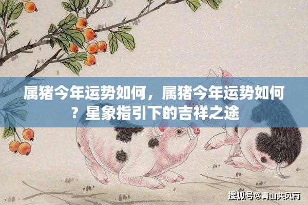 属猪今年运势展望,星象指引下的吉祥之路