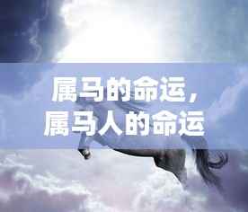 属马人的命运解析,奔腾不息,运势旺盛