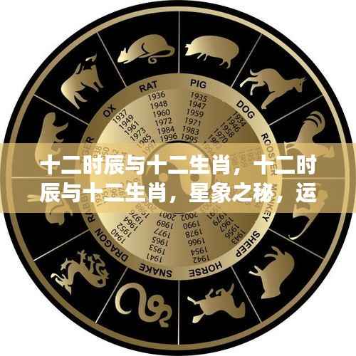 揭秘十二时辰与十二生肖,星象奥秘与运势解析
