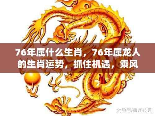 76年属龙人的运势展望,乘风破浪抓住机遇