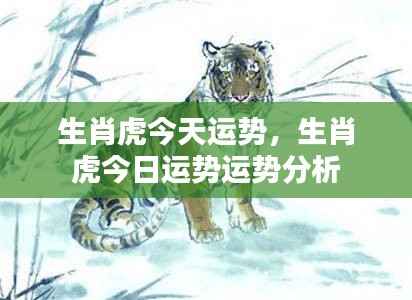 生肖虎今日运势详解,运势分析与特点总结