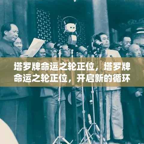 衣不兼采 第4页