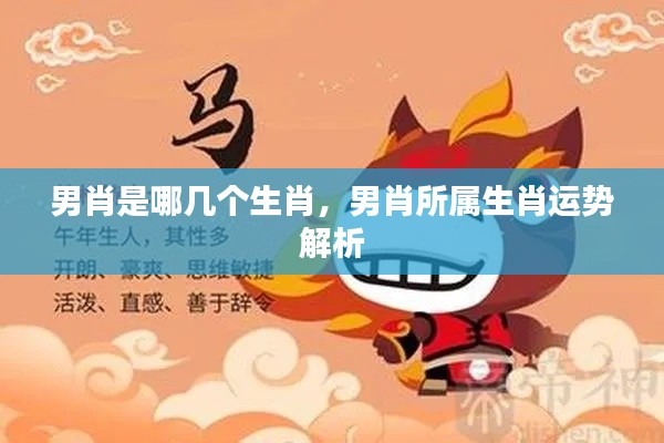 男肖生肖解析,运势揭秘与生肖特点探究
