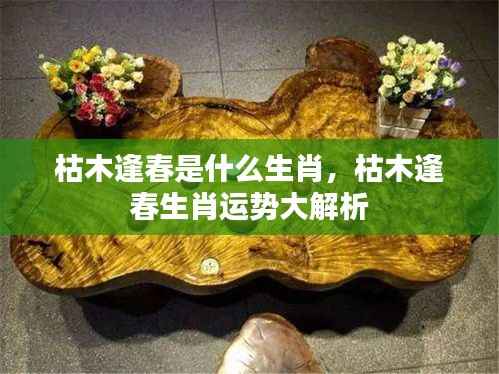 枯木逢春生肖运势深度解析,揭秘生肖运势与未来走向