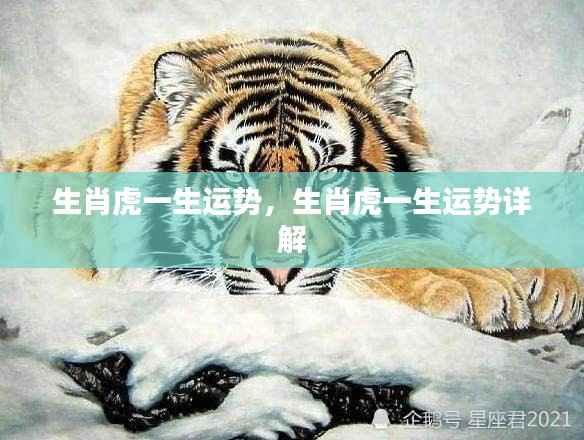 生肖虎一生运势详解与特点分析