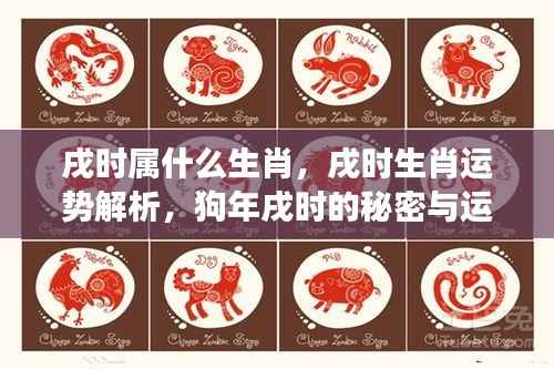 戌时生肖运势解析,狗年戌时的秘密与未来展望
