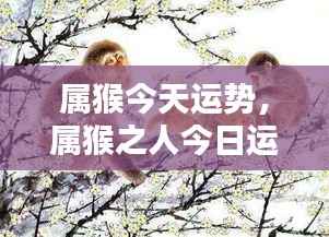 属猴今日运势大放异彩,运势亨通!