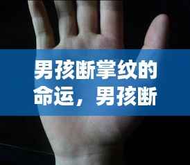 男孩断掌纹的命运，掌纹奥秘揭示人生轨迹微妙联系
