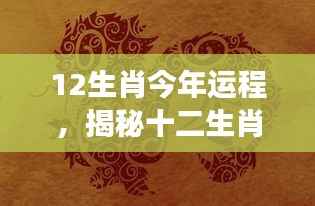 揭秘十二生肖今年运势走向,全方位解读生肖运程展望