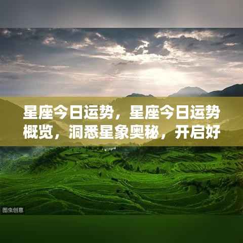 林下风范 第3页