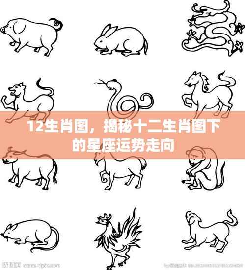 揭秘十二生肖图下的星座运势走向与未来展望