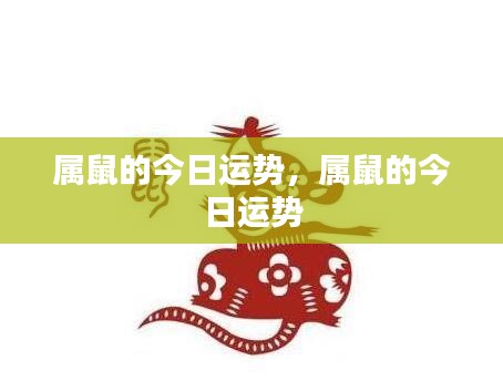 属鼠今日运势大全解析