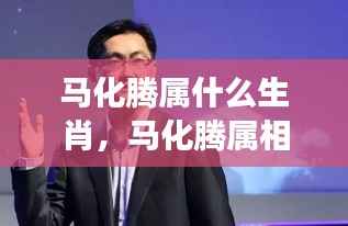 揭秘马化腾属相,生肖与互联网巨头星座运势的神秘奇缘