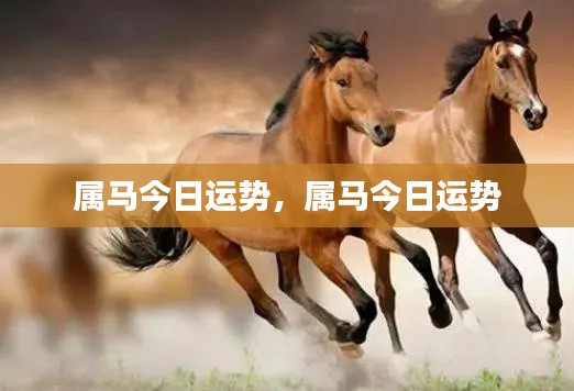 属马今日运势详解