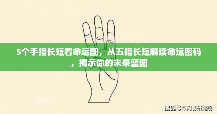 五指长短解读命运之谜,揭示未来蓝图与命运密码的奥秘