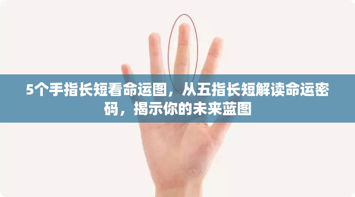 五指长短解读命运之谜,揭示未来蓝图与命运密码的奥秘
