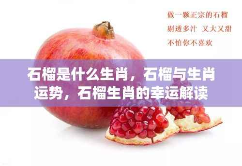 石榴生肖揭秘,运势与幸运解读全解析