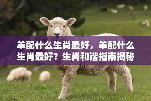 羊配什么生肖最佳?生肖配对和谐指南解密