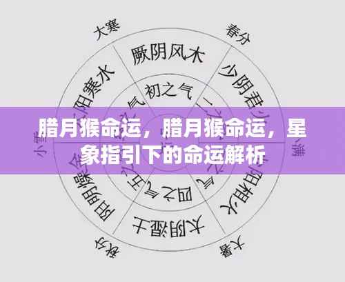 腊月猴的命运解析，星象指引下的命运探索