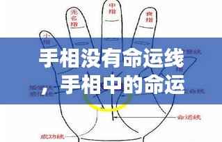 择善而从 第3页