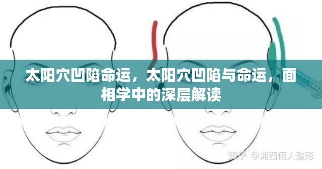 澹泊明志 第3页