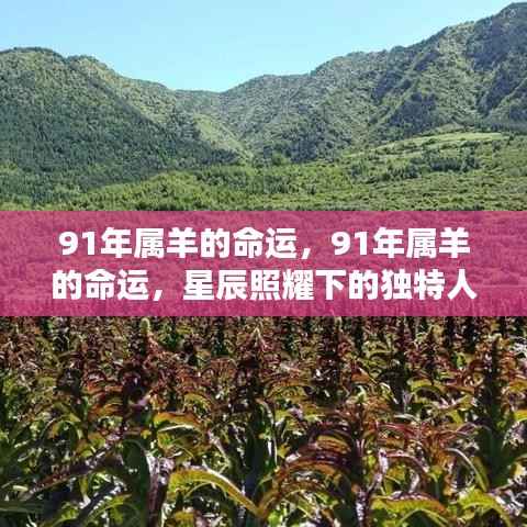 星辰照耀下的独特人生轨迹,揭秘91年属羊命运