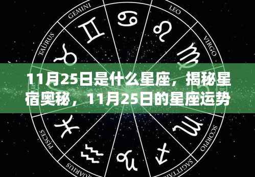 揭秘星宿奥秘，11月25日星座运势解析及星座特点探索