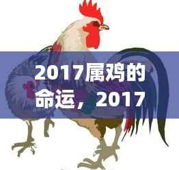 2017年属鸡人的命运展望,机遇与挑战并存