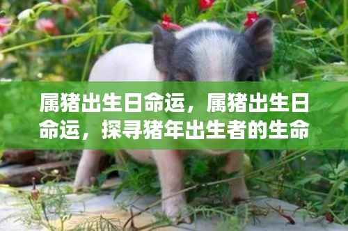 功成名就 第3页