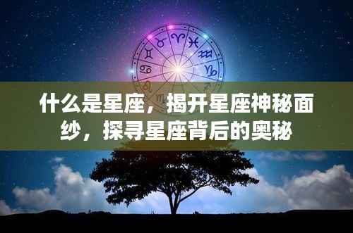 揭秘星座之谜,探寻星座背后的神秘面纱与奥秘