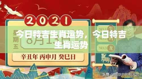 今日特吉生肖运势详解及预测