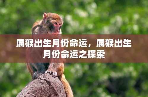 天潢贵胄 第3页