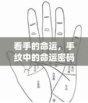手纹中的命运密码,解读双手揭示的未来蓝图