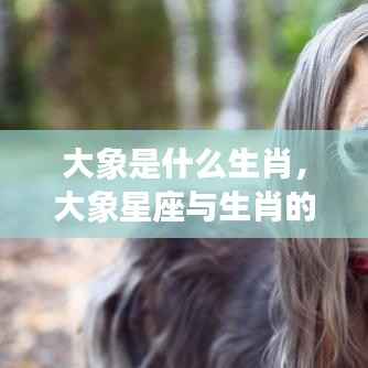 大象星座与生肖的奥秘结合探索