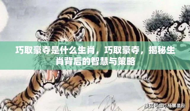 揭秘生肖智慧与策略,巧取豪夺的生肖特性探究