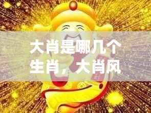 揭秘十二生肖中的风云佼佼者,大肖风云传