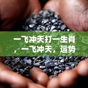 一飞冲天运势飙升,生肖腾飞迎来好运兆头