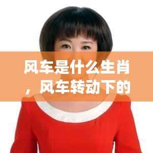 风车转动下的生肖星座运势揭秘，探寻生肖与星座的神秘纽带