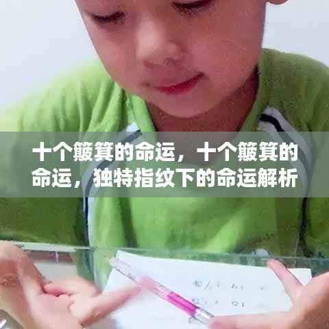 独特指纹下的命运之谜,十个簸箕的命运解析
