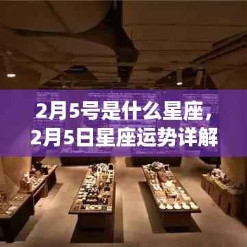 2月5日星座运势揭秘,探寻属于你的星辰轨迹