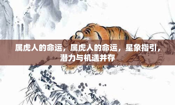 云屯鸟散 第3页