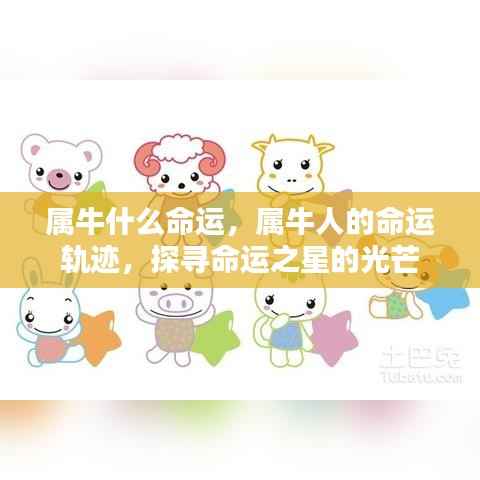 属牛人的命运探索,命运之星的光芒与轨迹