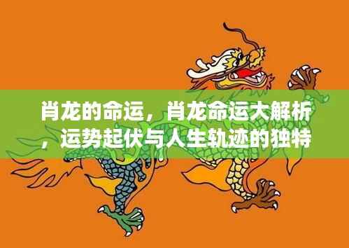 肖龙命运深度解析,运势起伏与人生轨迹的交织