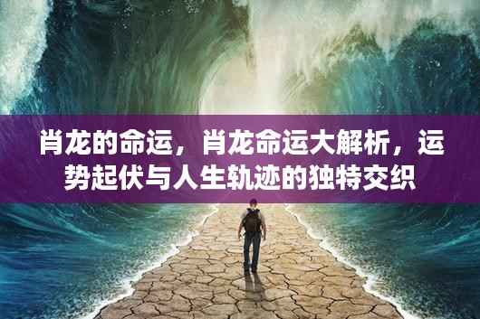 肖龙命运深度解析,运势起伏与人生轨迹的交织