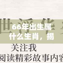 揭秘命运之轮,1966年出生者的生肖运势解析与生肖属性揭晓