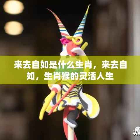 来去自如,生肖猴的灵活人生探索