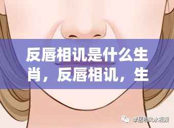 反唇相讥与生肖,微妙互动与个性解读的秘密